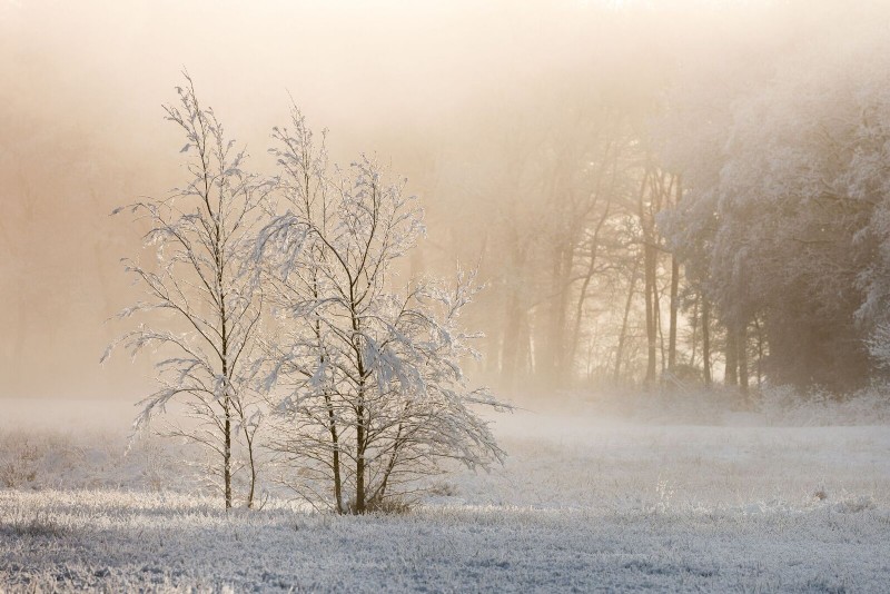 De winter door Hans Schinkel