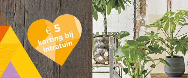 Je VVV Cadeaubon is € 5,- meer waard bij Intratuin