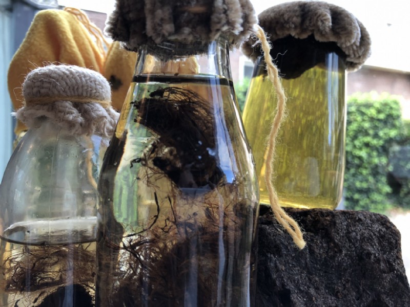 Ontdek het TURF-LAB