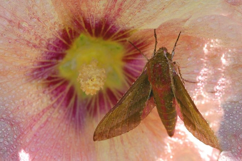 De kwetsbare natuur