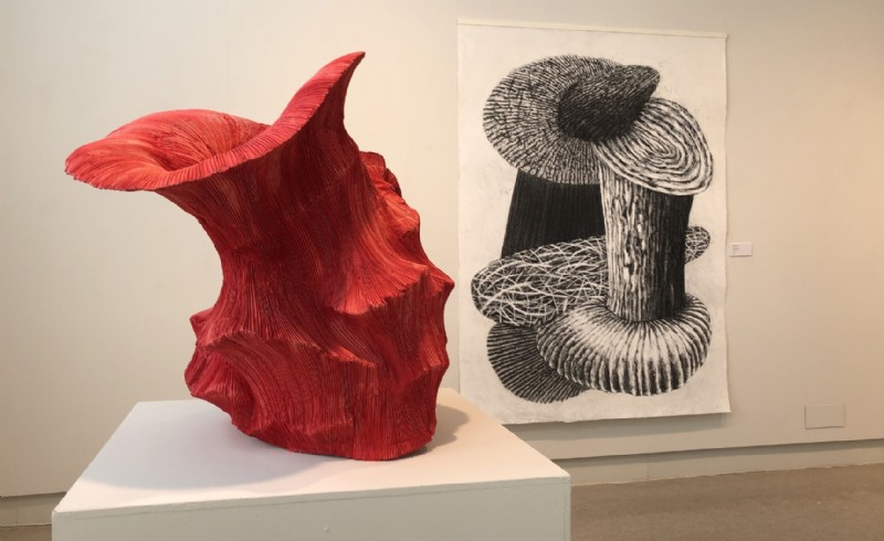 IRIS BOUWMEESTER & AGE HARTSUIKER