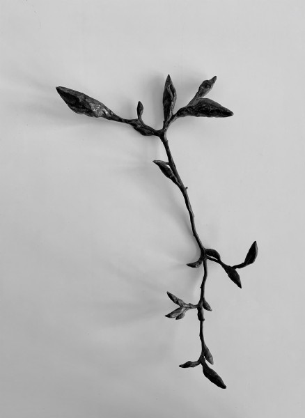 mirroring brons 9x25x45 cm 2022 foto Peter Cox